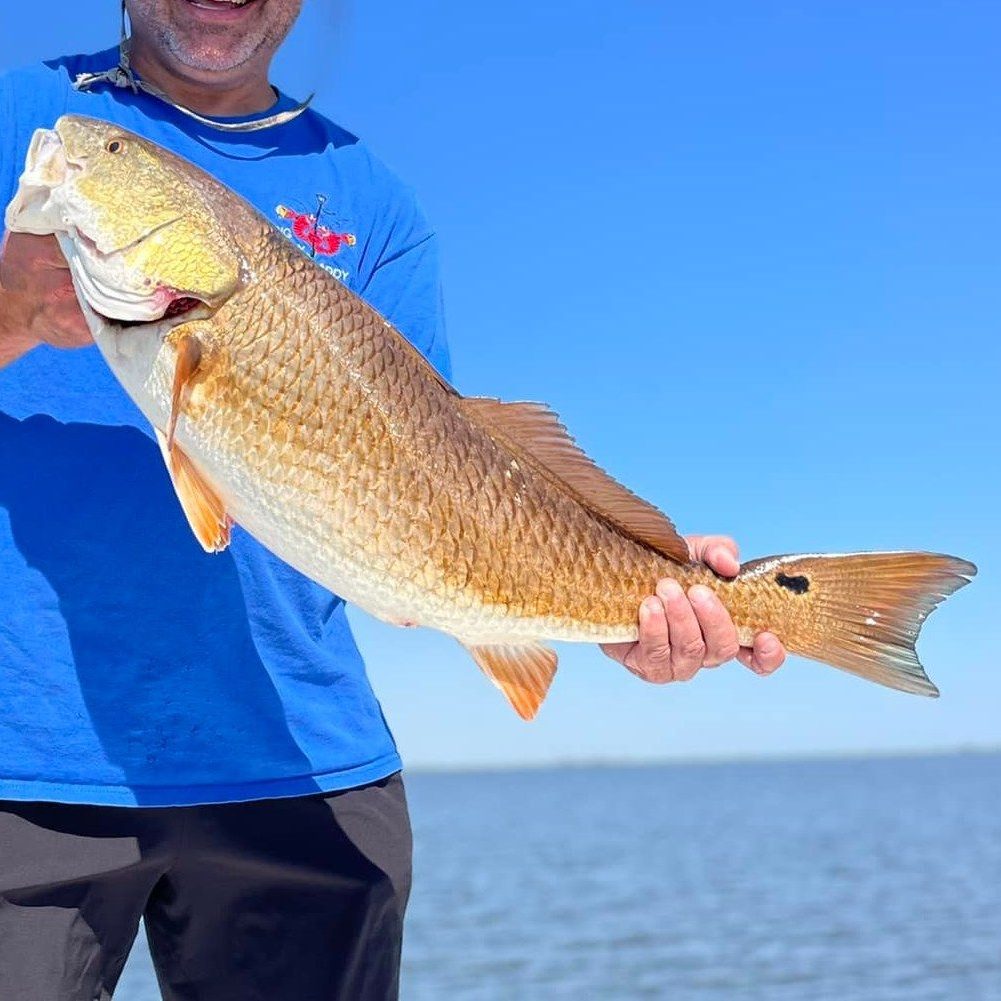 Red Drum caught on Delacroix Fishing Charter